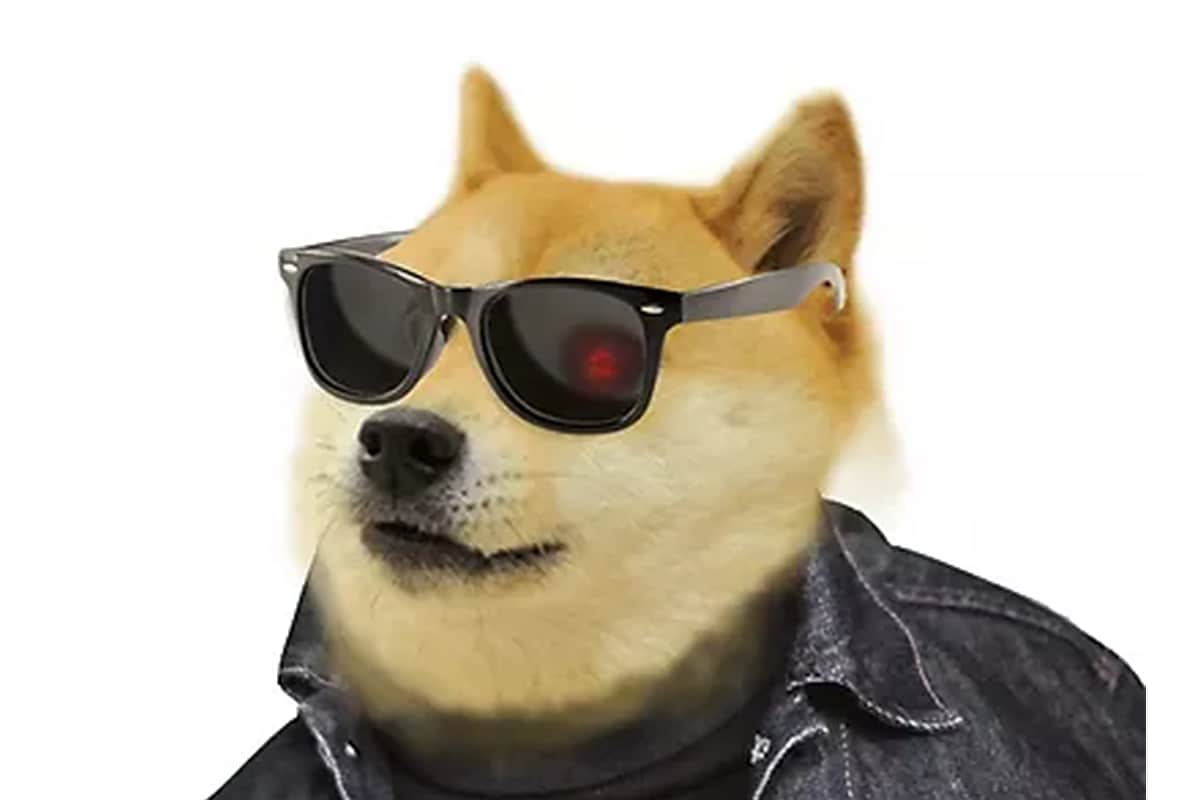 DOGEFI Price (DOGEFI INR) | DOGEFI Price in India Today & News (20th  January 2026) - Gadgets 360