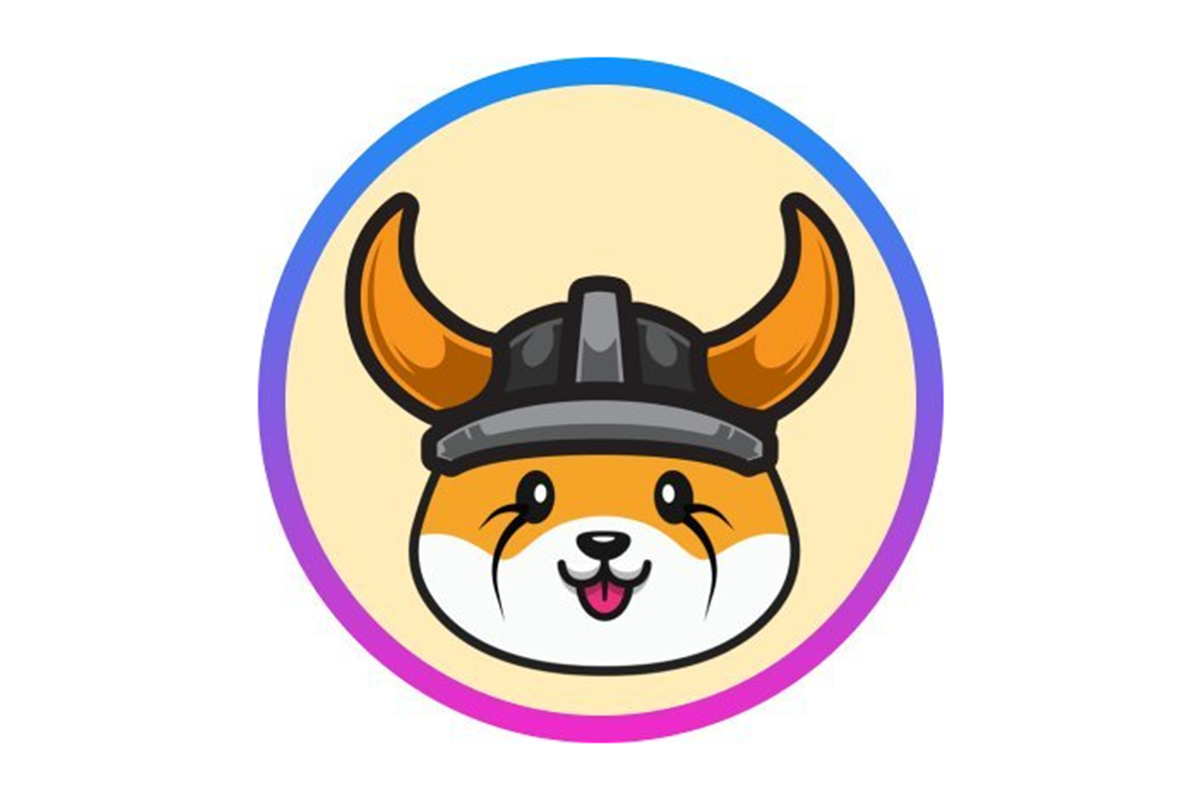 coinbase floki inu