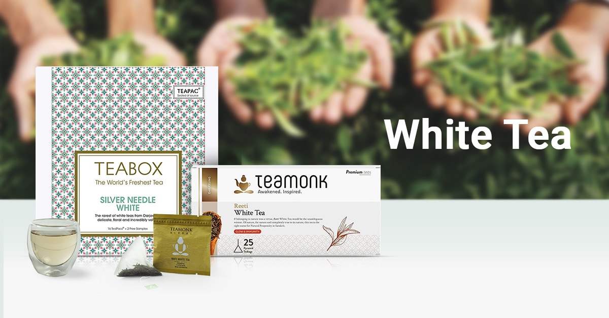 White Tea price list in India (September 2024), Buy White Tea at best