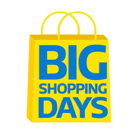 Flipkart Big Shopping Days