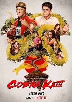 Cobra Kai Season 06 Latest News & Updates - Cinema Budz
