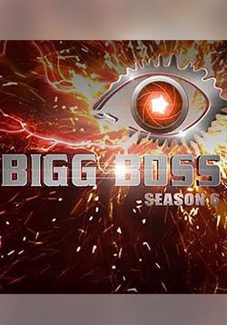 watch online bigg boss season 9