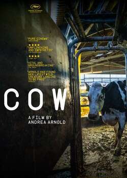 Cow Movie (2022) | Release Date, Review, Cast, Trailer, Watch Online at ...