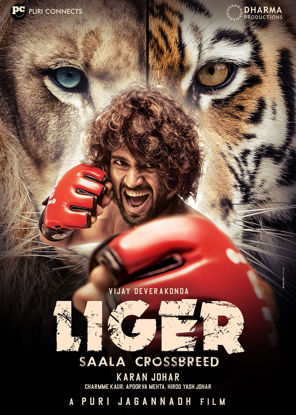 Liger 2022 Hindi Dubbed (Audio Cleaned) 400MB HDRip 480p ESubs Download