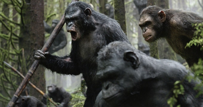 Dawn of the Planet of the Apes Movie Cast, Release Date, Trailer, Songs and Ratings