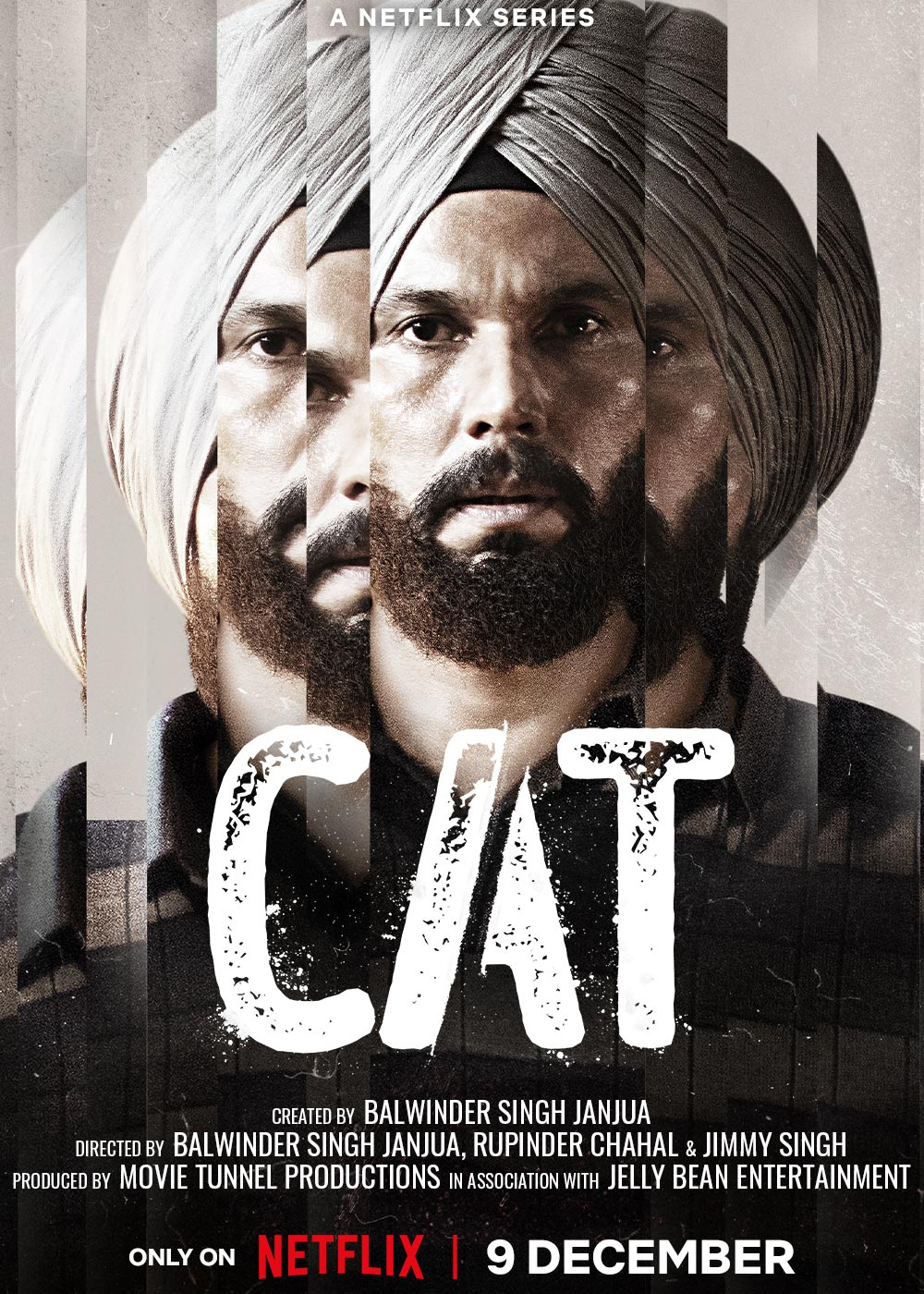 CAT (2022) 720p HEVC HDRip Hindi S01 Complete NF Series x265 AAC ESubs [1.9GB]