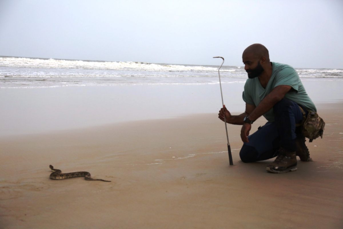 Snakes SOS: Goa&#039;s Wildest Season 1 Web Series Cast, Episodes, Release Date, Trailer and Ratings