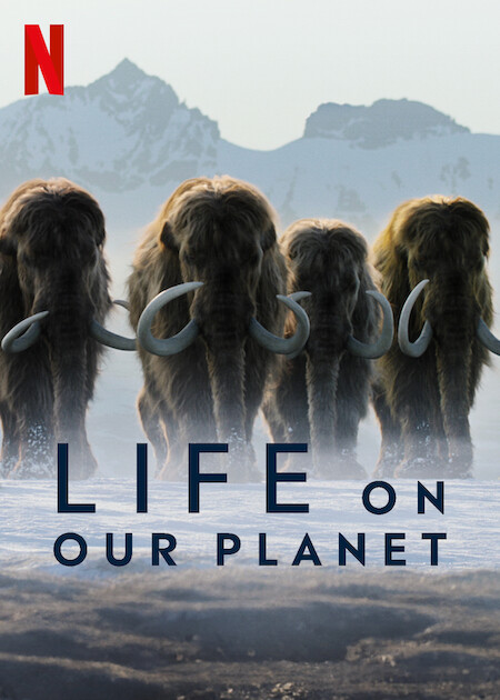 Life on Our Planet