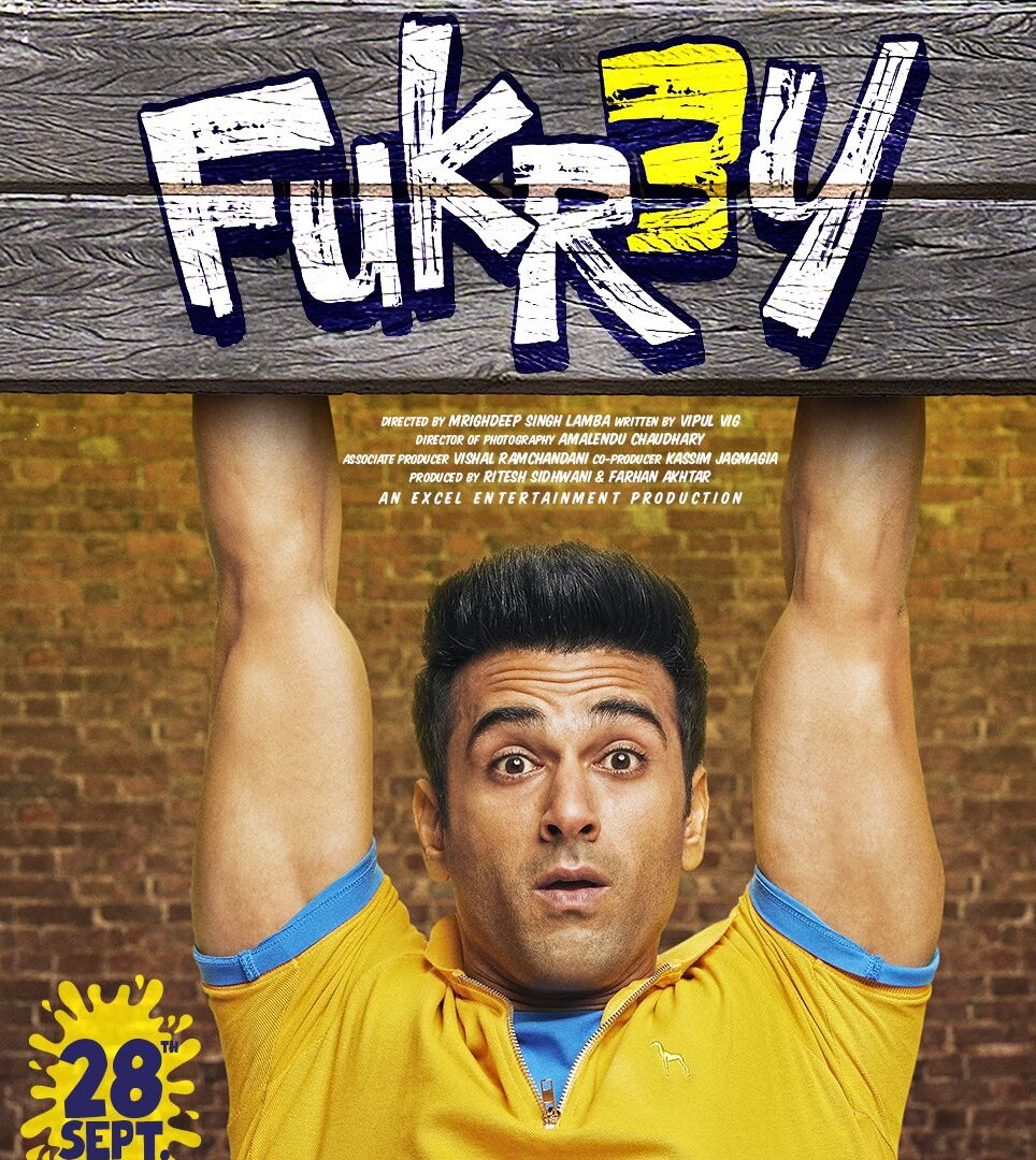 movie review of fukrey 3