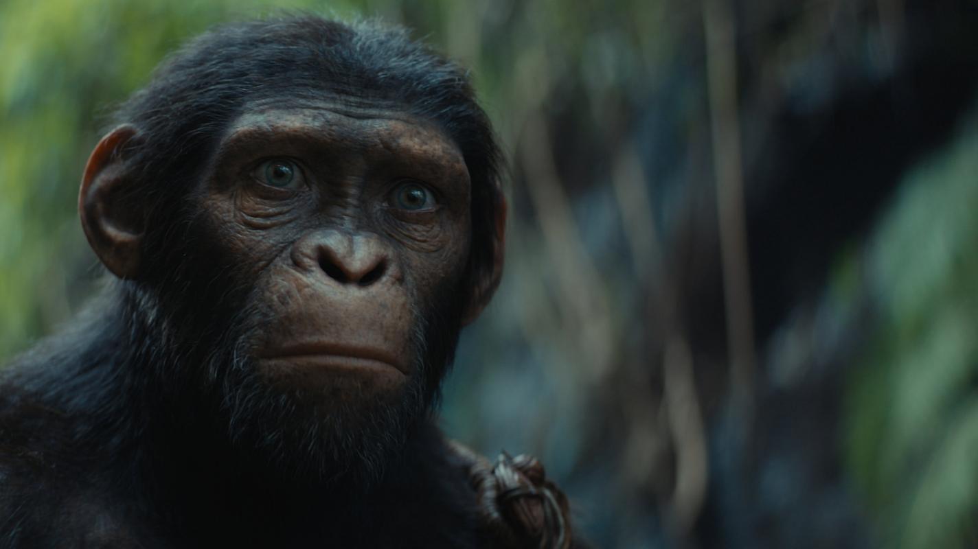 Kingdom of the Planet of the Apes Movie Cast, Release Date, Trailer, Songs and Ratings