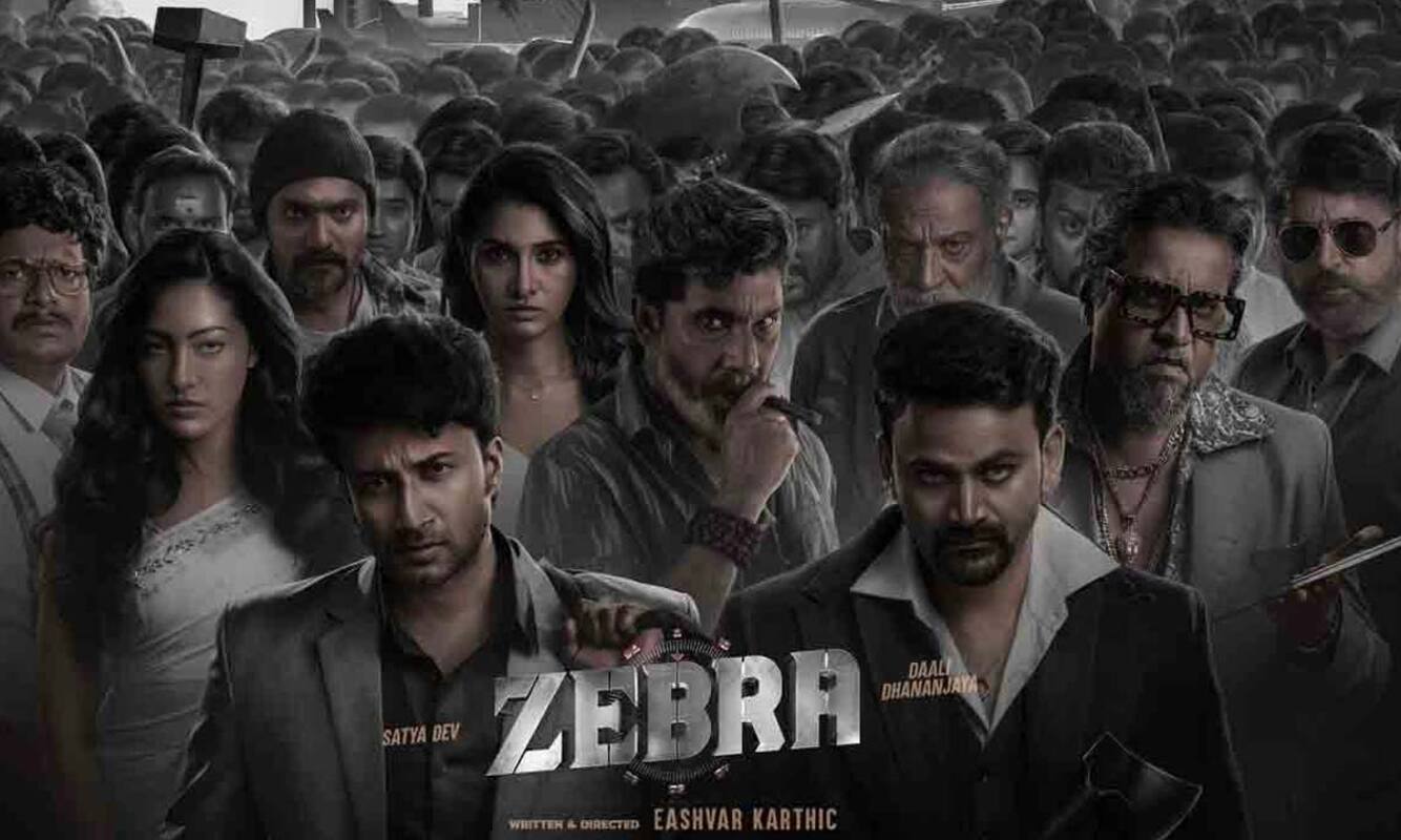 Zebra Movie Cast, Release Date, Trailer, Songs and Ratings