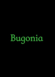 Bugonia Bugonia