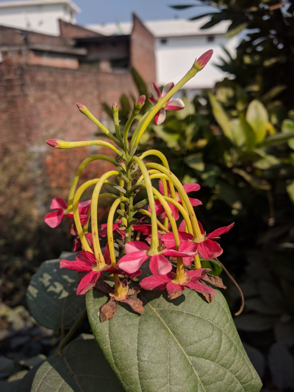 CUSTOMER CARE NETWORK