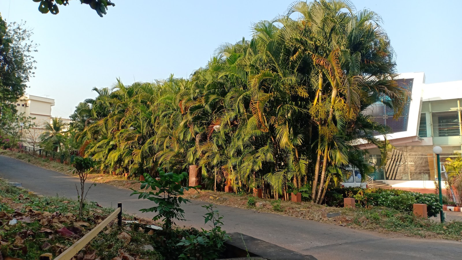 M/S SPAI ELECTRONICS