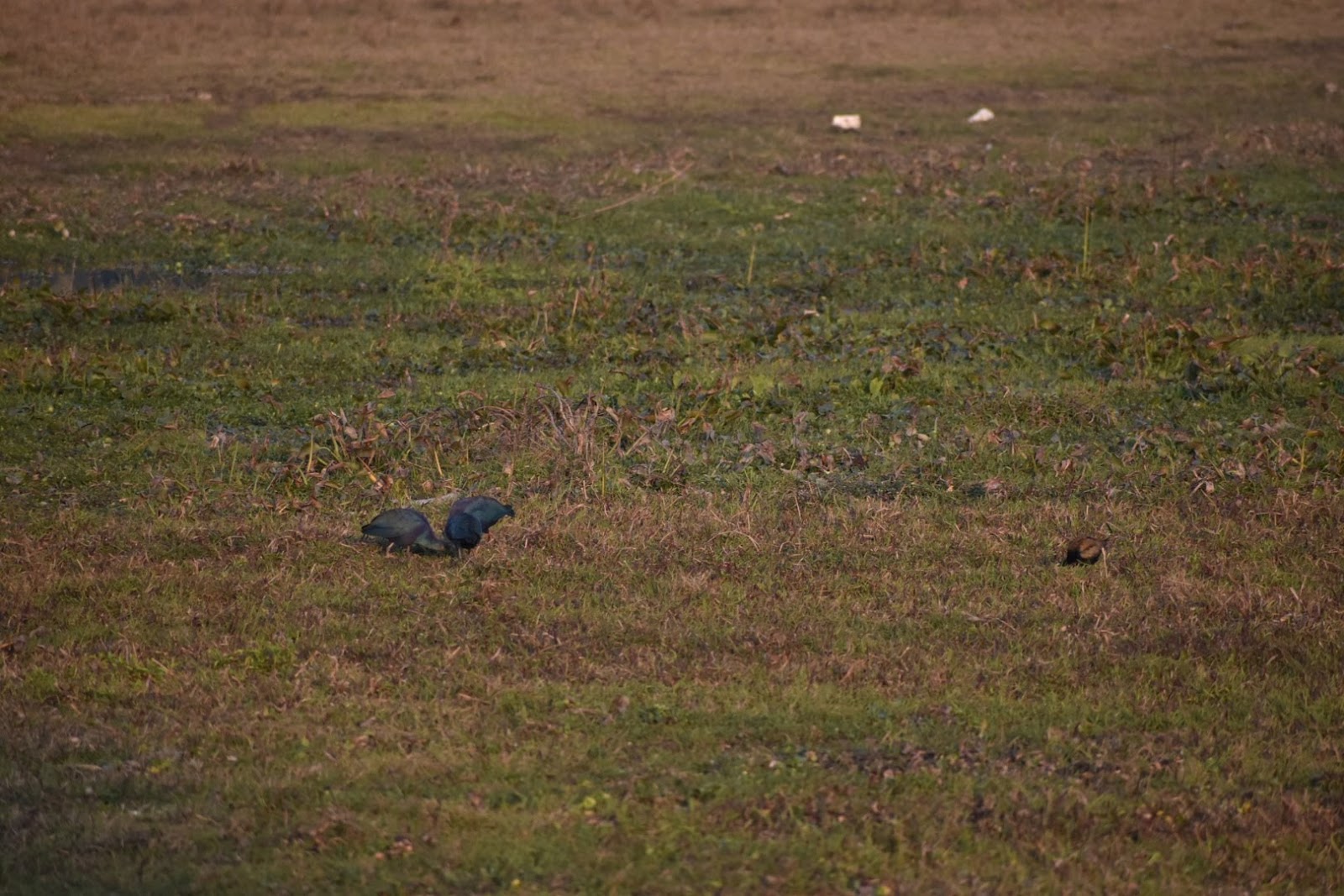 S A Service Centre And Group
