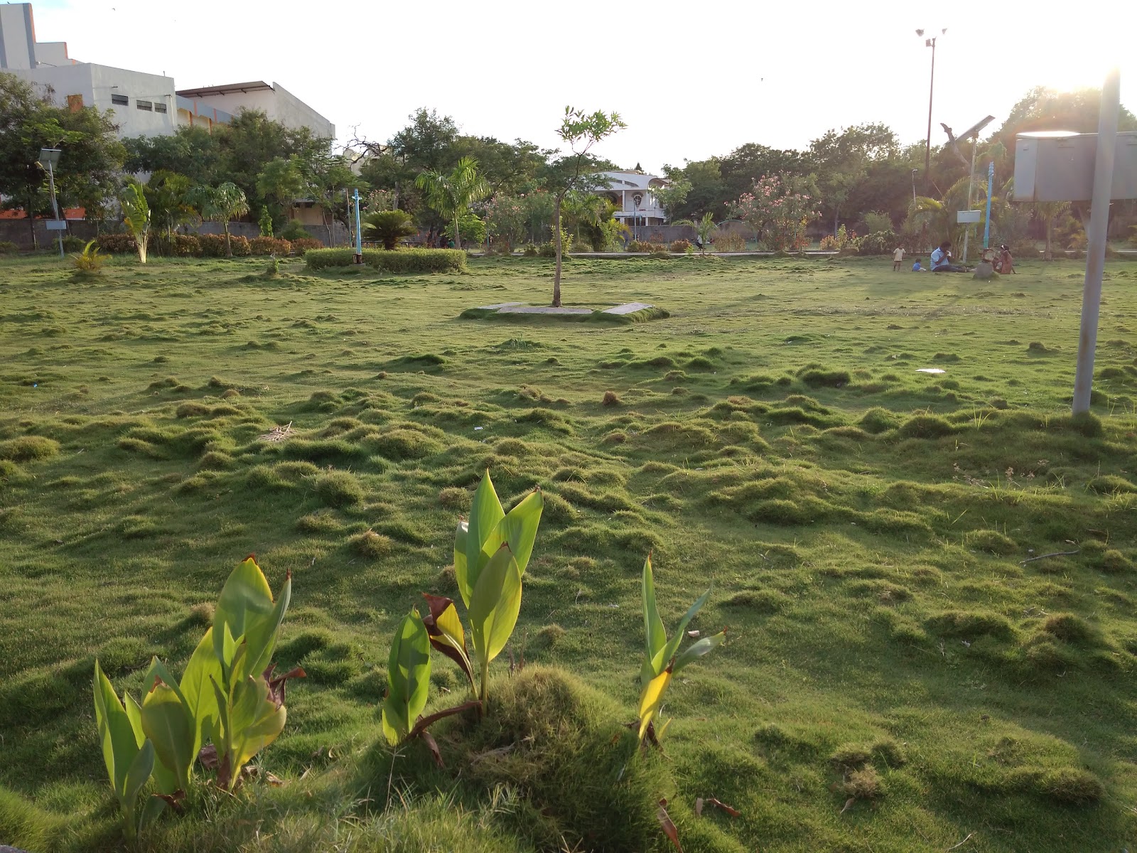 Skynet Electronic Private Limited