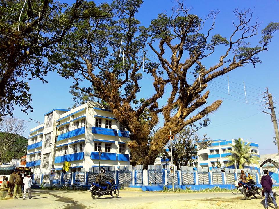 realme Authorized Service Center