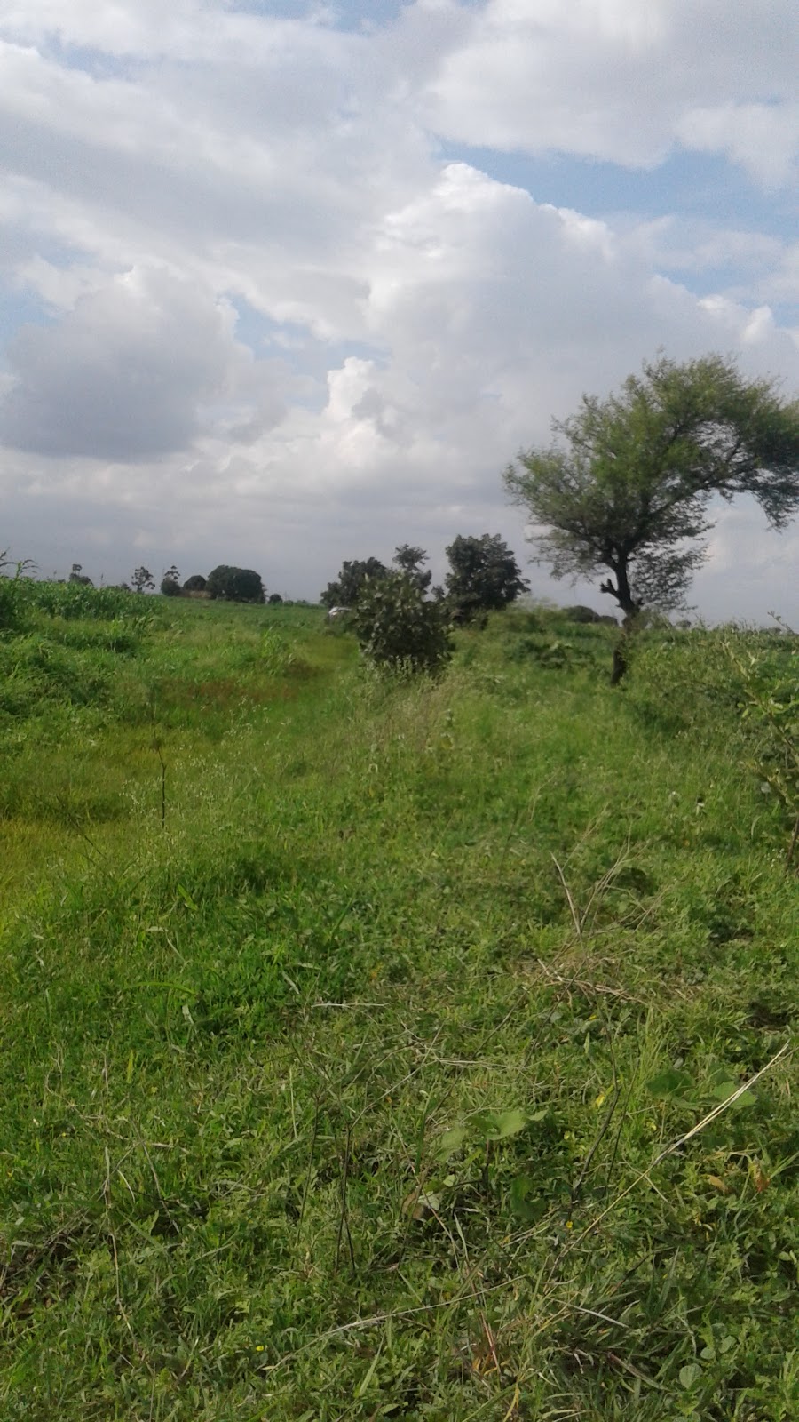 realme Authorized Service Center