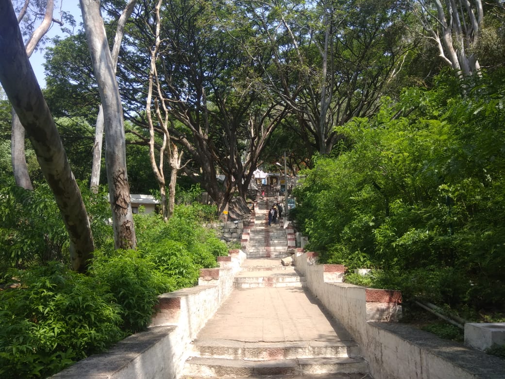 realme Authorized Service Center