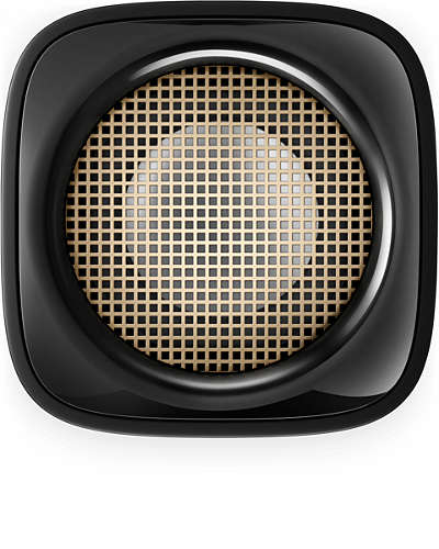 philips bt100 speaker