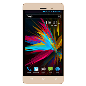 Buy Reach Cogent N+ Online